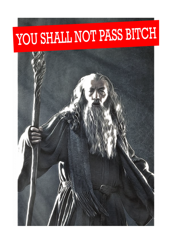 T Shirt Prime Gandalf You Shall Not Pass R Em Desing Your Universe